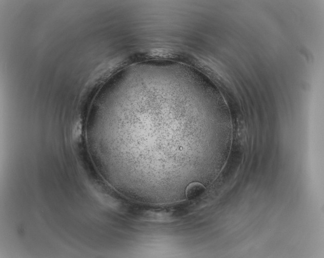 X0000114160502200910221611