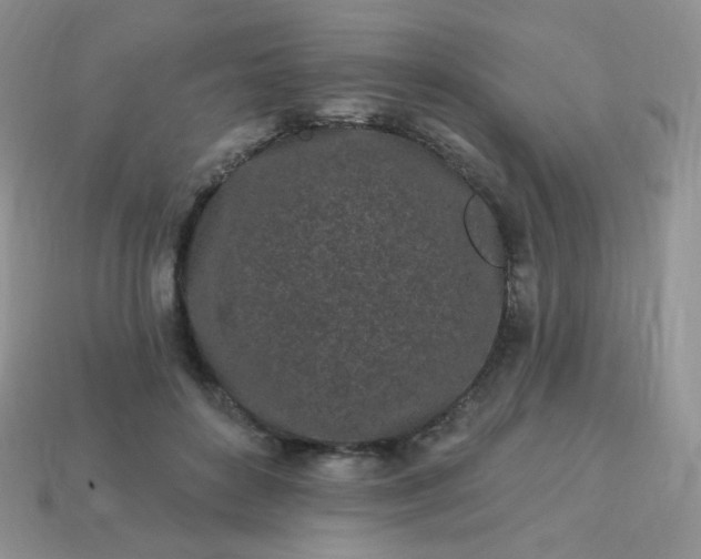 X0000114160504200910221611