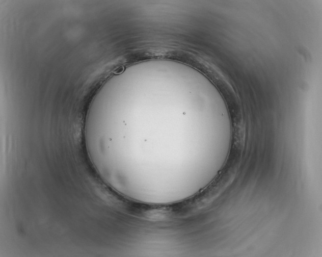 X0000114160505200910221611