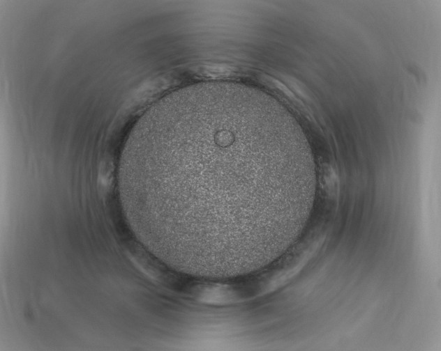 X0000114160507200910221611