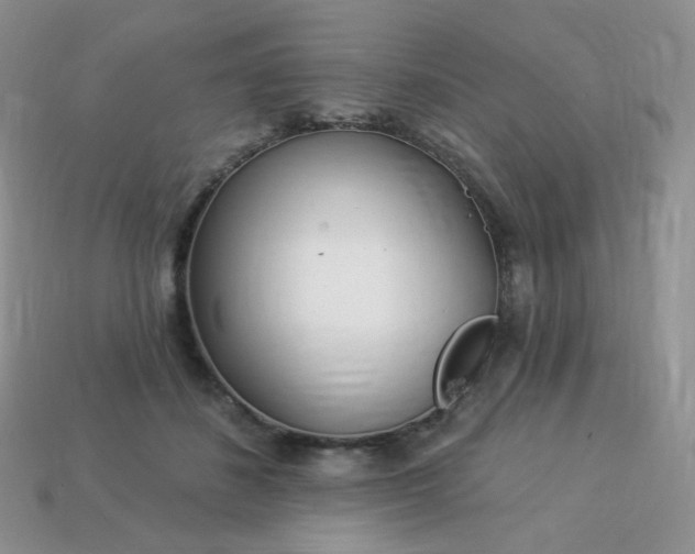 X0000114160508200910221611