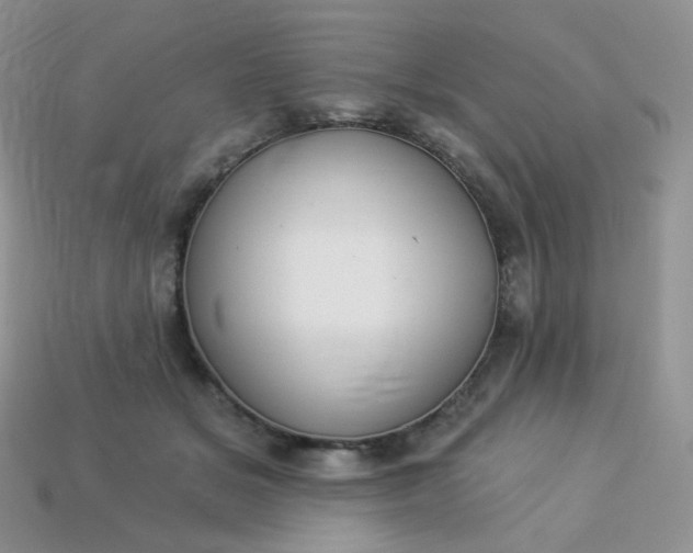 X0000114160509200910221611