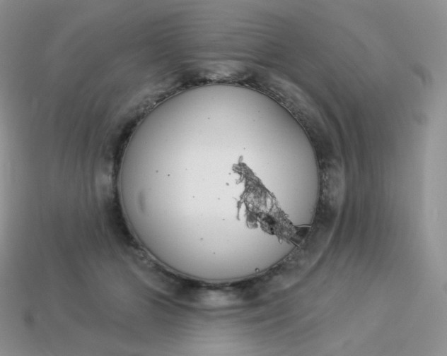 X0000114160510200910221611