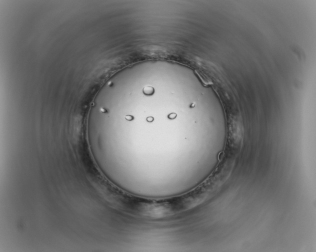 X0000114160511200910221611