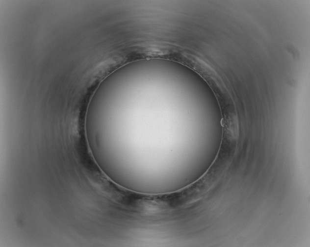 X0000114160512200910221611