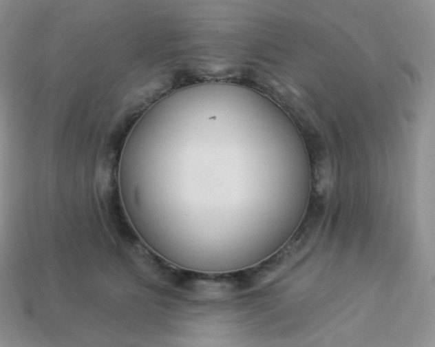 X0000114160515200910221611