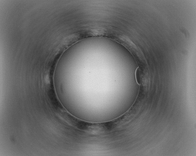 X0000114160516200910221611