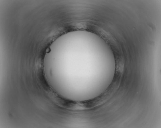 X0000114160518200910221611