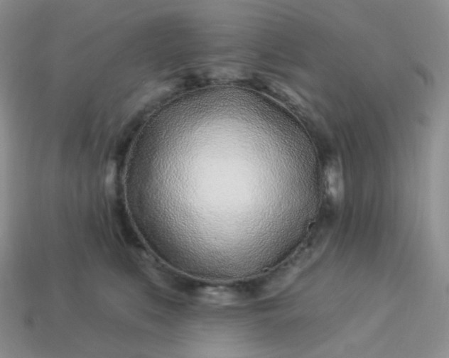 X0000114160519200910221611