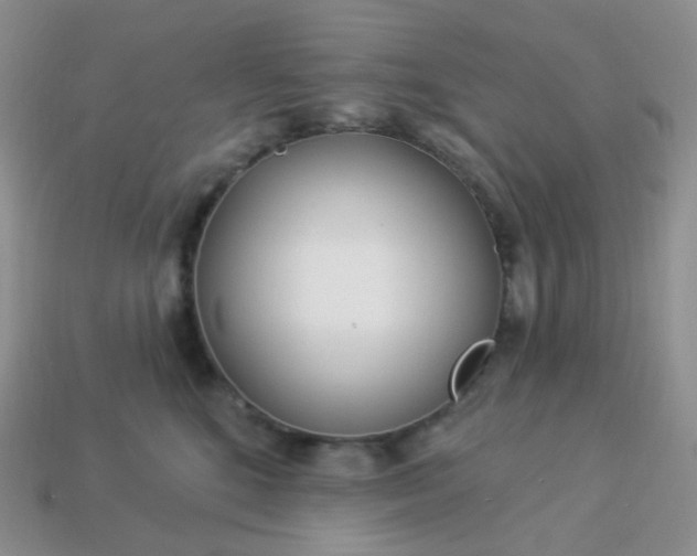 X0000114160520200910221611