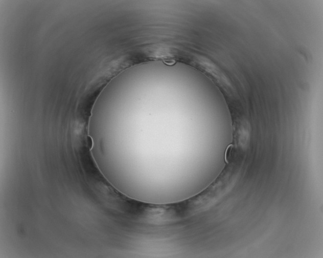 X0000114160521200910221611