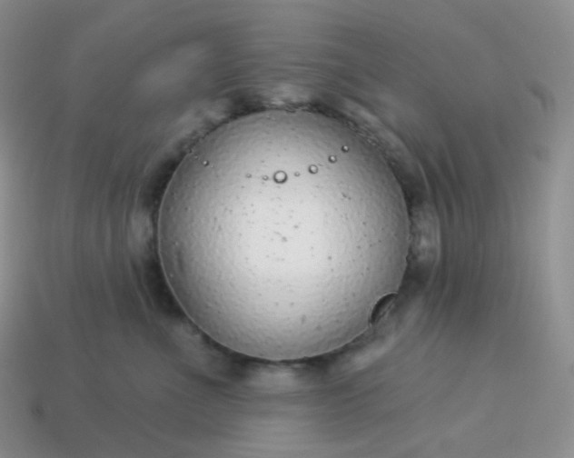 X0000114160523200910221611