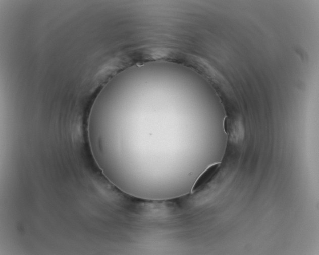 X0000114160524200910221611