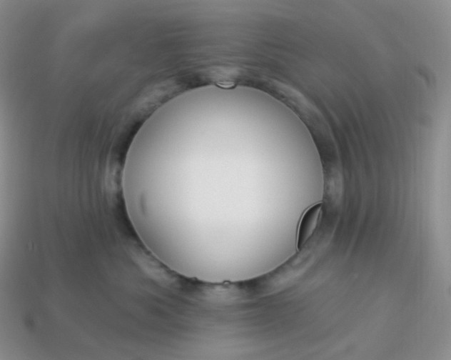 X0000114160525200910221611