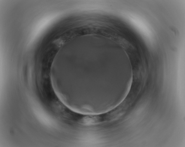 X0000114160526200910221611