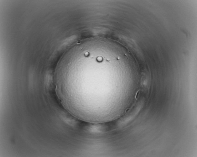 X0000114160527200910221611