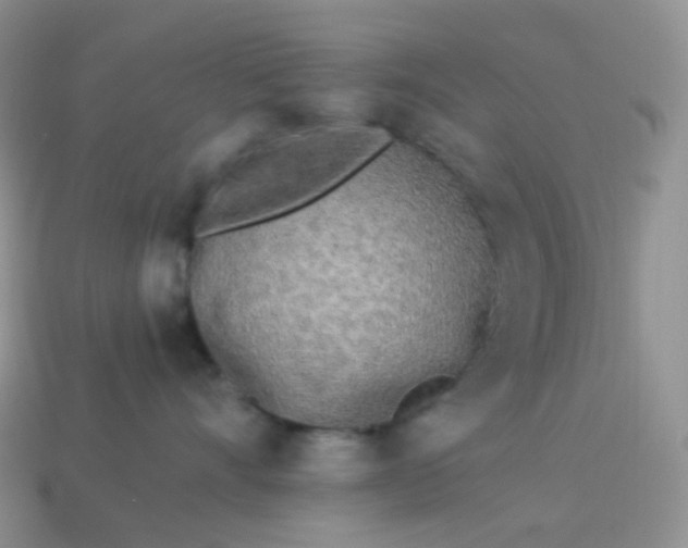 X0000114160528200910221611