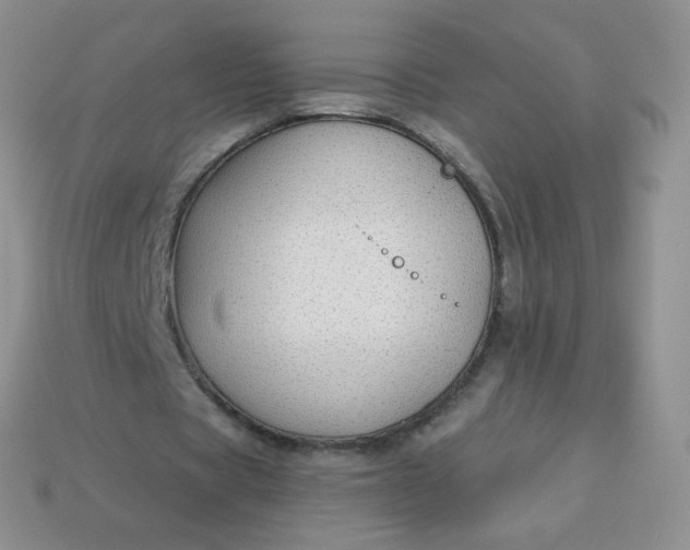 X0000114160529200910221610