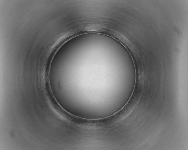 X0000114160530200910221610