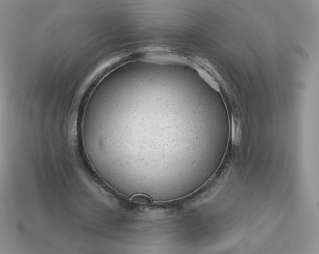 X0000114160531200910221610