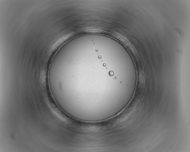 X0000114160533200910221610