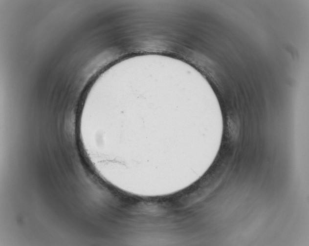 X0000114160534200910221610