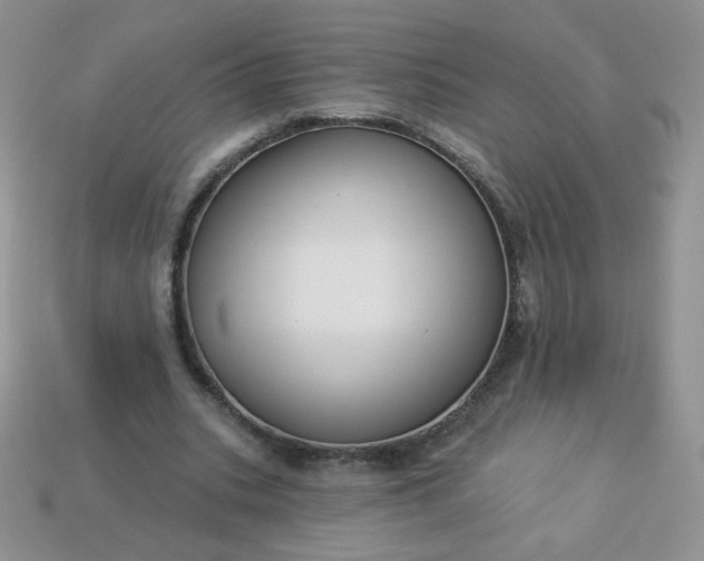 X0000114160535200910221610