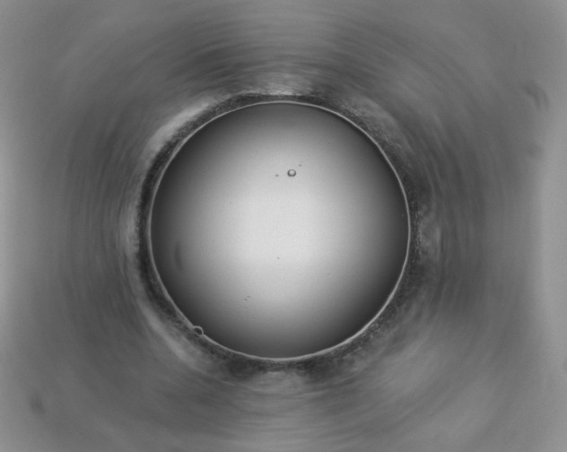 X0000114160536200910221610