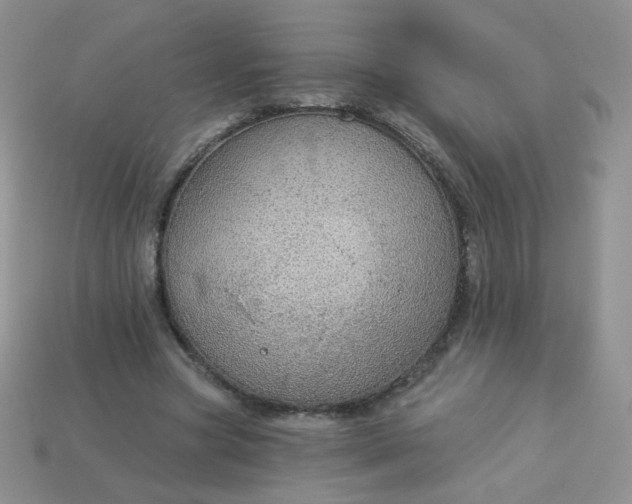 X0000114160537200910221610