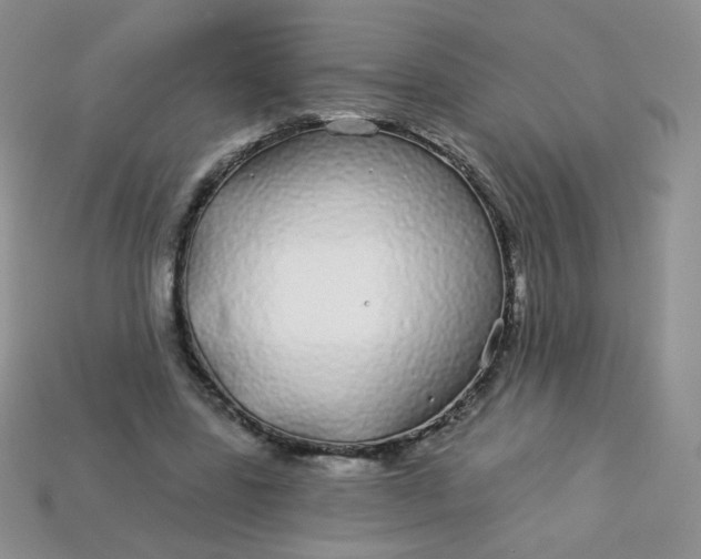 X0000114160539200910221610