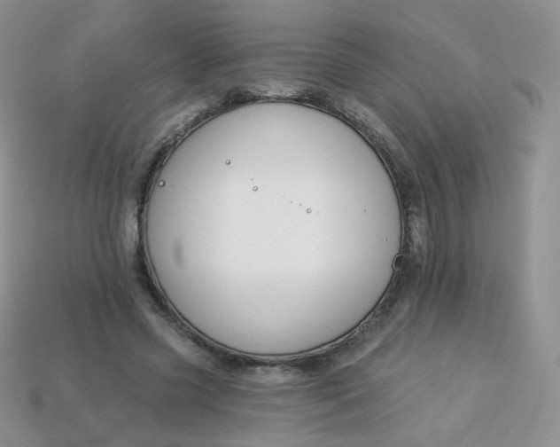 X0000114160541200910221610