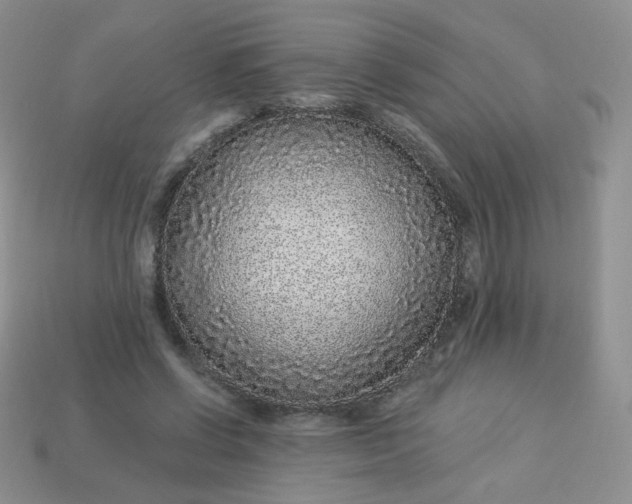 X0000114160542200910221610