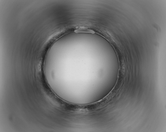 X0000114160543200910221610