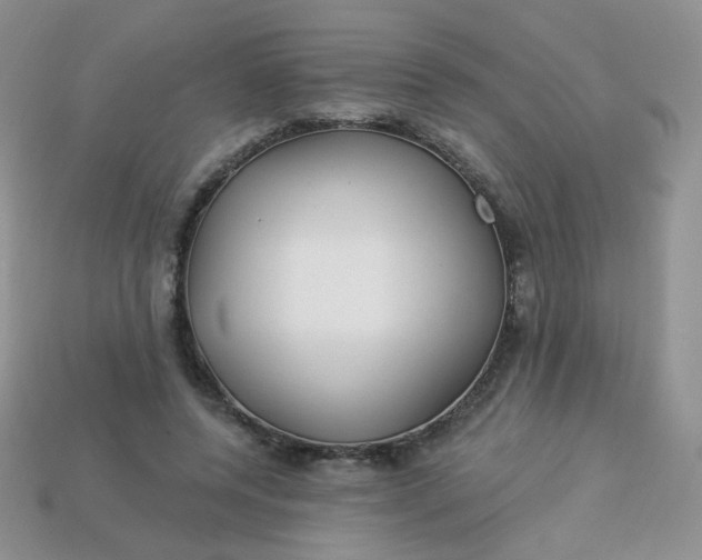 X0000114160544200910221610