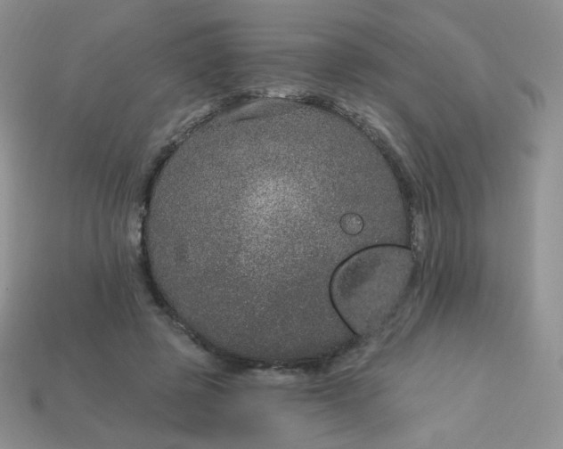 X0000114160545200910221610