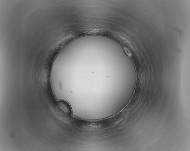 X0000114160546200910221610