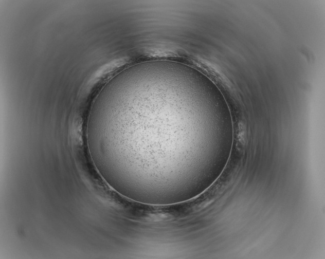 X0000114160547200910221610