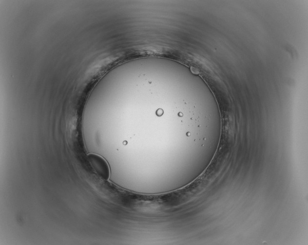 X0000114160548200910221610