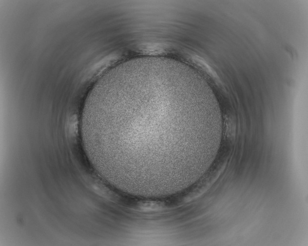 X0000114160549200910221610