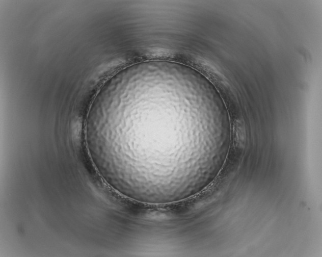 X0000114160550200910221610