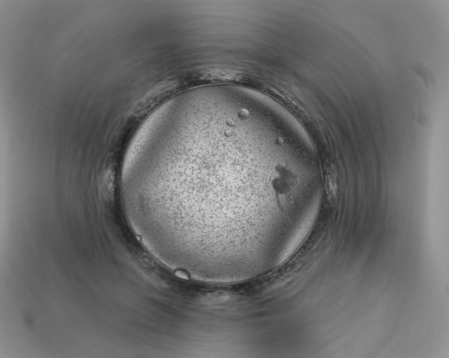 X0000114160551200910221610