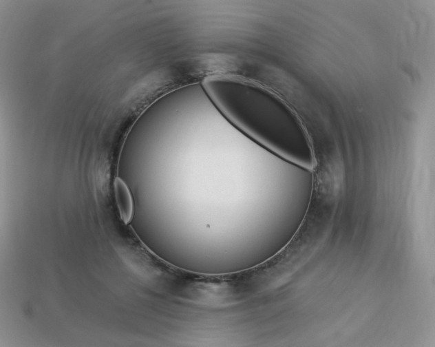 X0000114160552200910221610