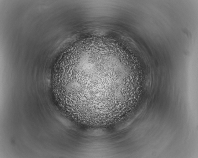 X0000114160553200910221610