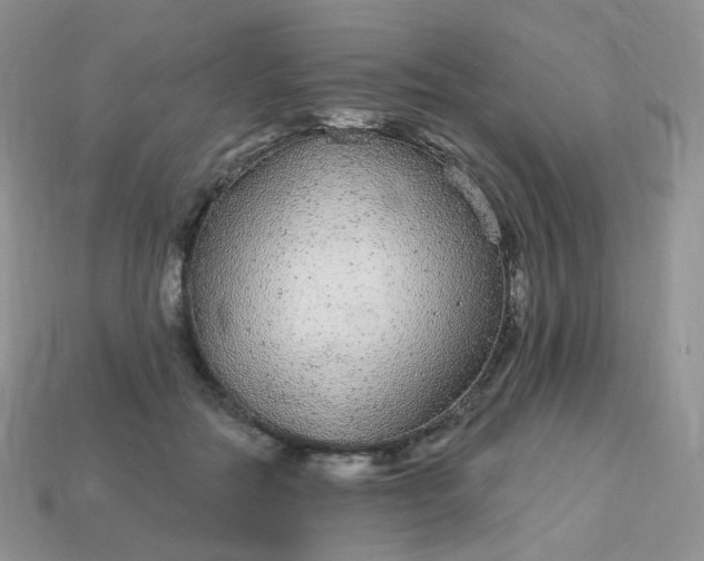 X0000114160554200910221610