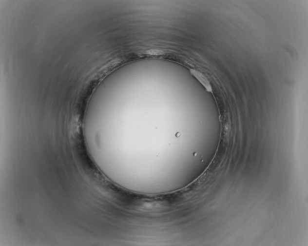 X0000114160555200910221610