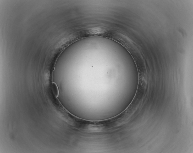 X0000114160556200910221610