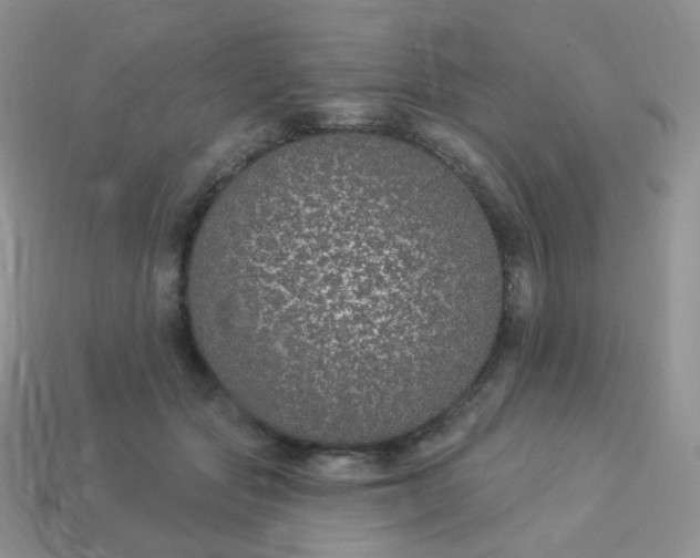 X0000114160557200910221610