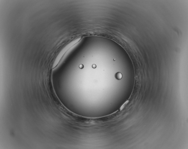 X0000114160558200910221610