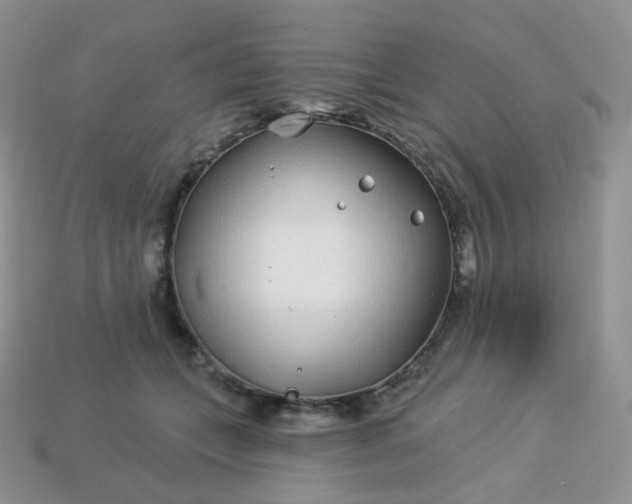 X0000114160559200910221611