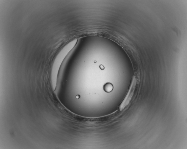 X0000114160560200910221611